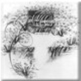 Drawing One by Susana Sori. Large mural size graphite on Arches hot-pressed paper. Fine Art by Sor